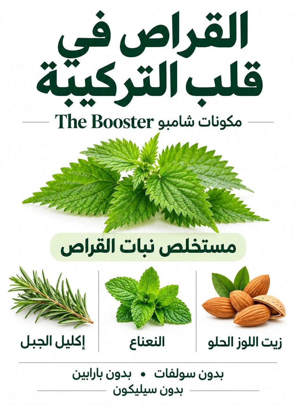 القراص في قلب التركيبة - مكونات شامبو The Booster - مستخلص نبات القراص، زيت اللوز الحلو، النعناع، إكليل الجبل