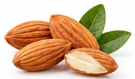 زيت اللوز الحلو